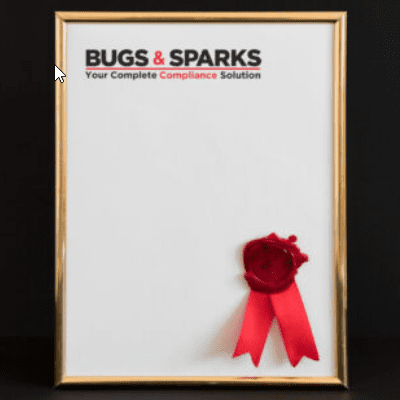 Bugs and Sparks